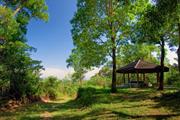 郊野公園必須開發