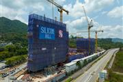 Silicon Hill                                                                                        