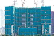 柏蔚森I